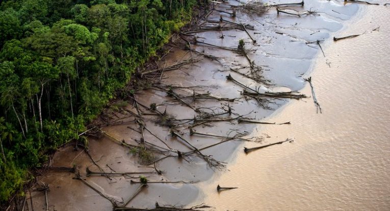 O desmatamento da Amazônia e das florestas brasileiras estão entre as prioridades no debate ambiental no mundo (Daniel Beltrá/Greenpeace)