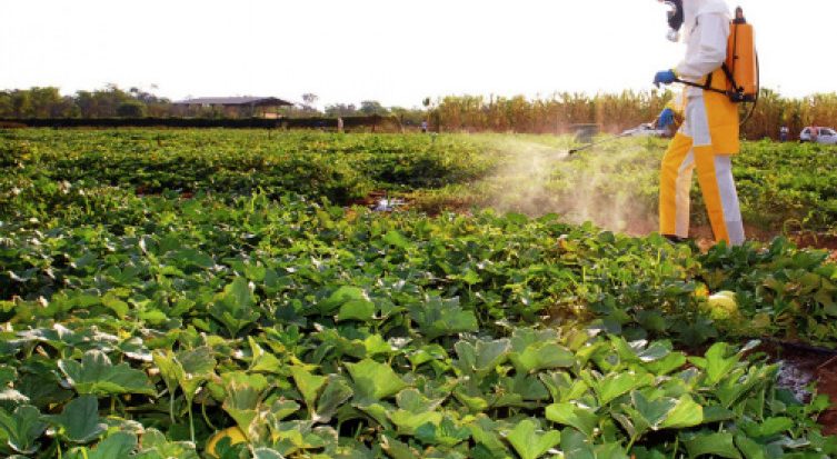 Pesquisas apontam que os brasileiros ingerem frequentemente agrotóxicos usados para controle de pragas em verduras, frutas e água (Lenito Abreu/Governo do Tocantins)
