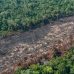 Europeus pressionam Brasil para endurecer combate ao desmatamento