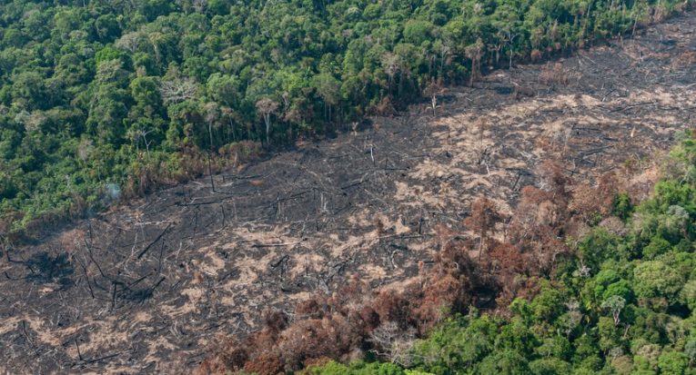 Aumento do desmatamento em regiões da Amazônia mobilizam pressão econômica de países europeus ao Brasil (Vinícius Mendonça/Ibama via Agência Senado)