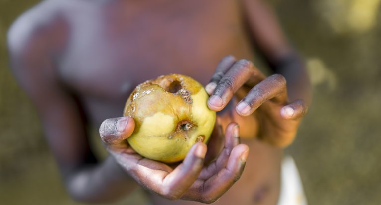 Insegurança alimentar é preocupante no Brasil