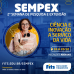 Começa a Semana de Pesquisa e Extensão na Fits-PE