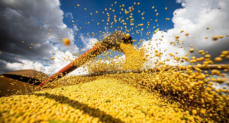 O crescimento da colheita de grãos deve ser puxado pelas lavouras do centro-sul do país, que se recuperaram das perdas da estiagem do verão de 2022 (Wenderson Araujo/Trilux-CNA) 