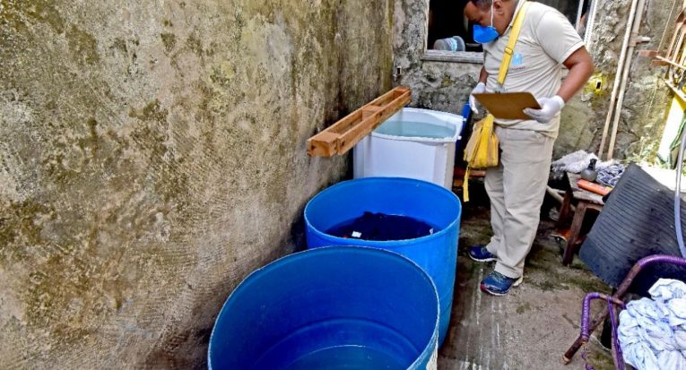 O aedes aegypti utiliza locais e recipientes com água parada para depositar seus ovos e larvas, o que contribui para infestação da dengue e de outras doenças (Divulgação/Prefeitura de São Luís)