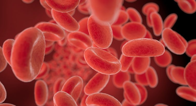 red blood cells flowing in a vessel, 3D illustration