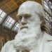 Quem foi Charles Darwin?