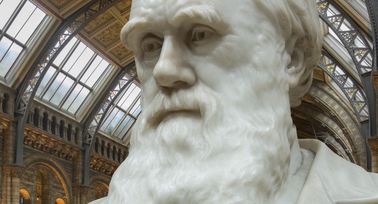 Estátua de Charles Darwin no Museu de História Natural de Londres