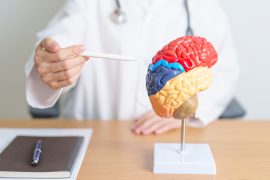Neuropsicopedagogia é tema de projeto de Iniciação Científica