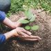 Ações do dia a dia podem preservar o meio ambiente